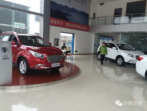 安徽世輝汽車(chē)銷(xiāo)售服務(wù)簡(jiǎn)介